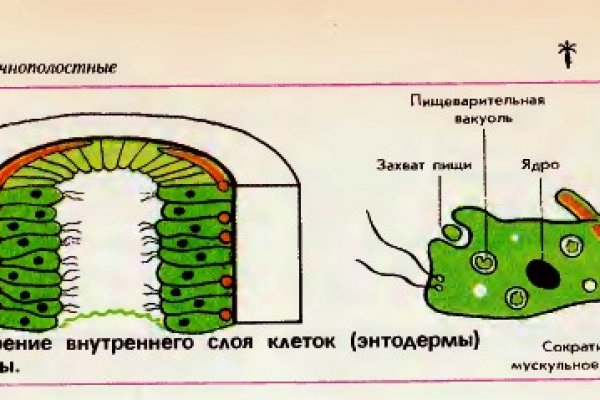 Кракен это что за магазин