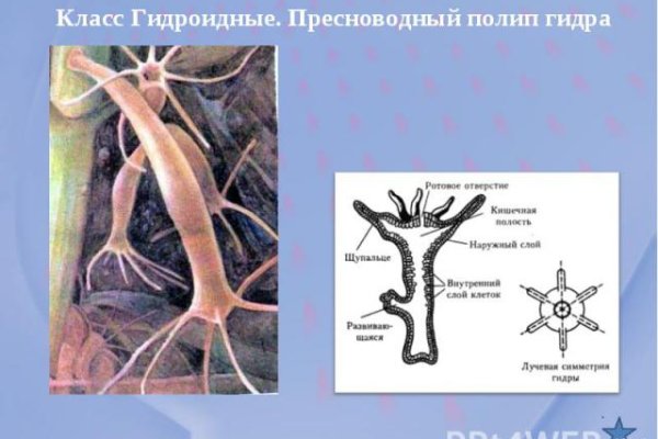 Кракен магазин ссылка