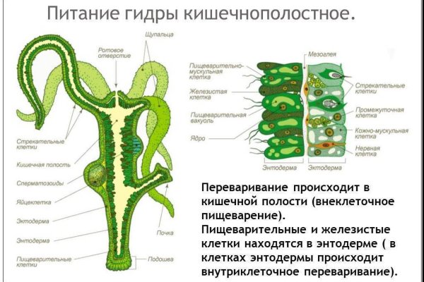 Кракен сайт 14