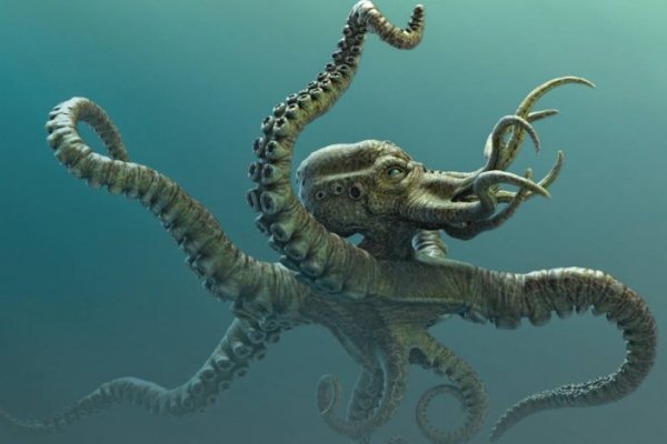 Kraken официальные зеркала