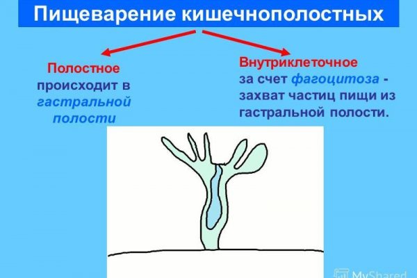 Кракен тор маркет пв