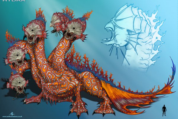 Kraken смылка