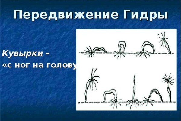 Аутентификатор кракен