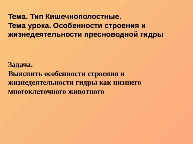 Kraken 19 at сайт