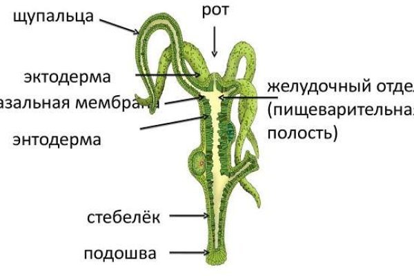 Кракен актуальная ссылка тор